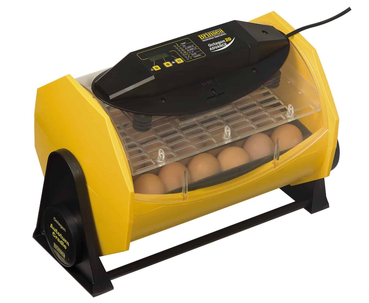Brinsea automatic egg incubator