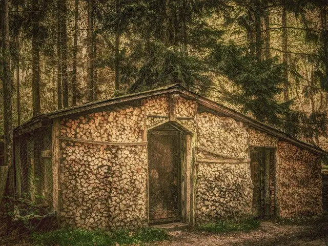 forest-firewood-shed