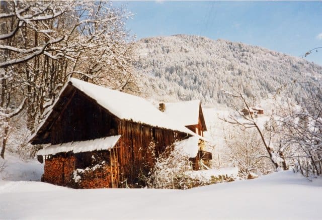 winter_firewood_shed