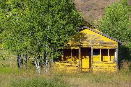 yellow_wood_shed