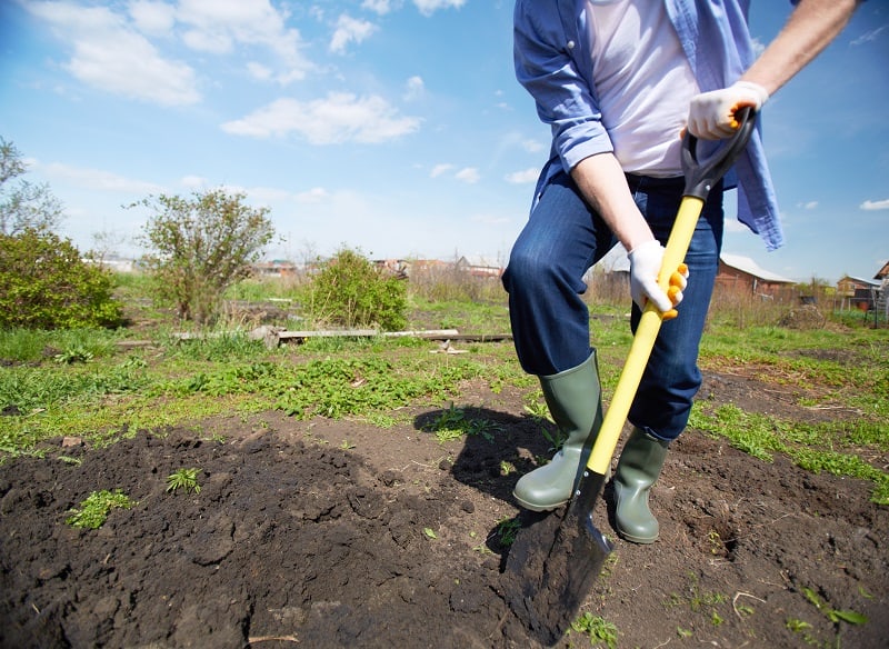 How to Start a Garden - Digging in the garden