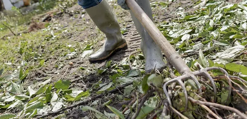 How to start a garden - rake soil
