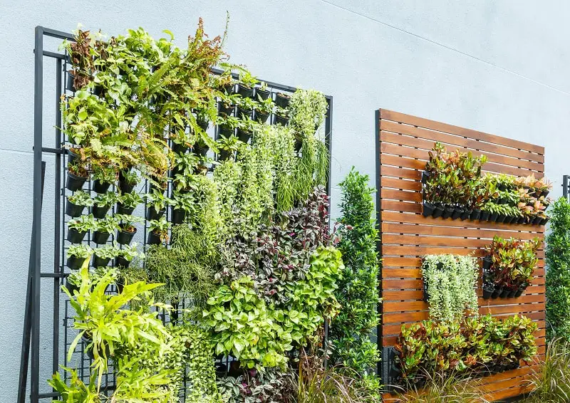 Vertical garden Ideas - Beautiful vertical garden in city around office building