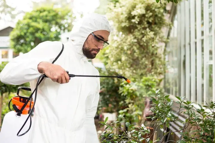 Best Garden Sprayer - Man spraying plants