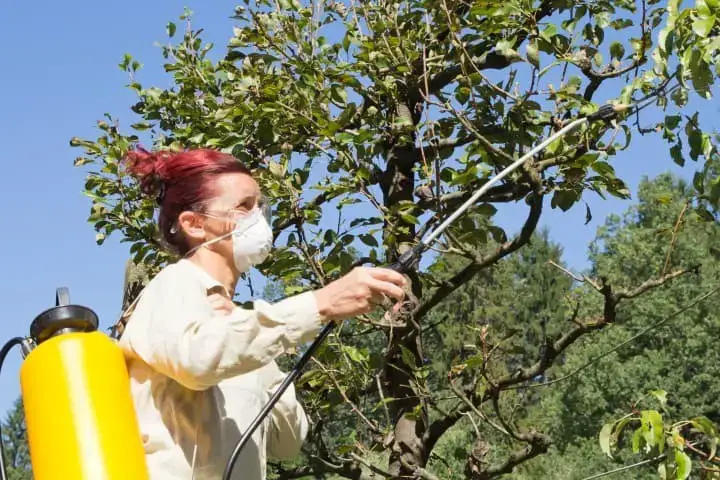 Best Garden Sprayer - Woman spraying trees