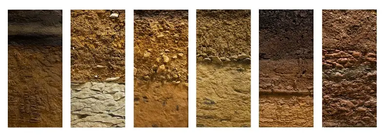 How to Prepare Soil for Planting - Cross section of common soils.