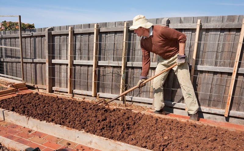 Preparation of Soil for Planting - Man hoing soil in raised garden bed