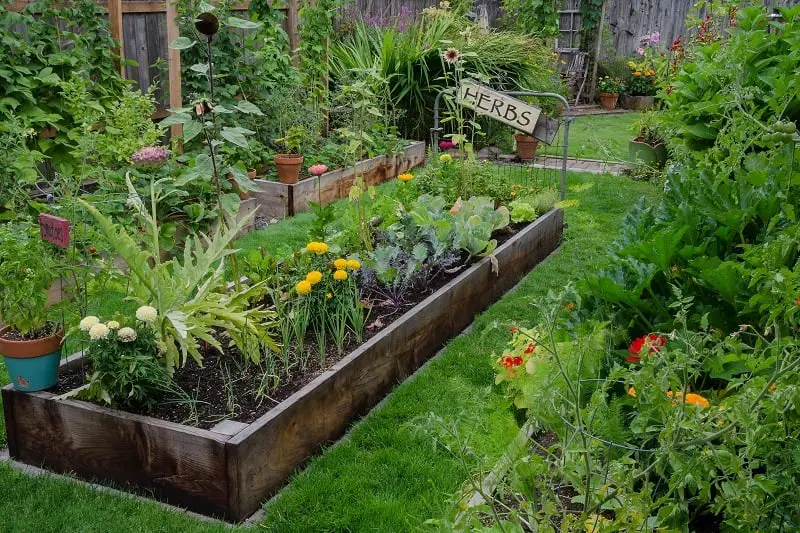 How to Start a Garden - Garden Bed Size
