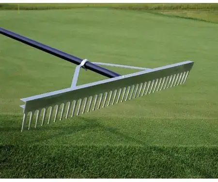 What Makes the Best Landscaping Rake? - Landscaping Rake on Lawn