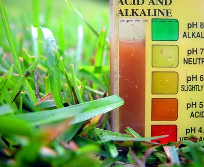 a close up of a soil ph tester kit during a test