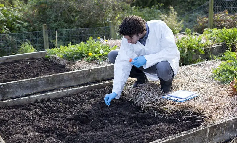Using Soil Ph Tester Kits to Test Soil in Garden Bed
