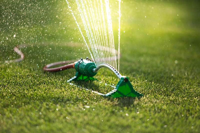 Oscillating Sprinkler in action on lawn