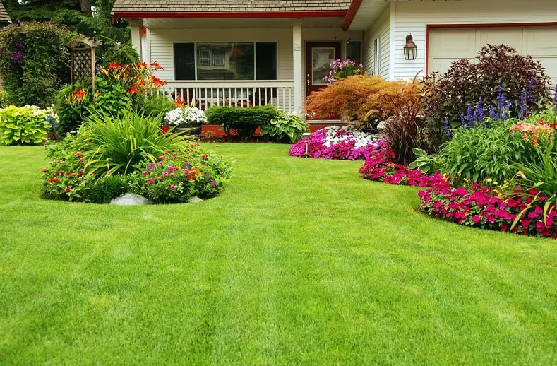 A beautifully manicured lawn with no weeds in it