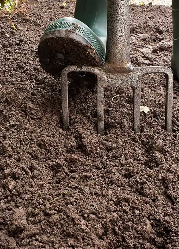 gardener airing out soil with a good garden fork for better planting