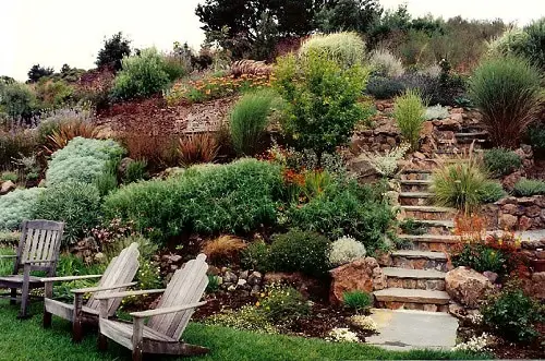 steep_landscaping_hillside_garden