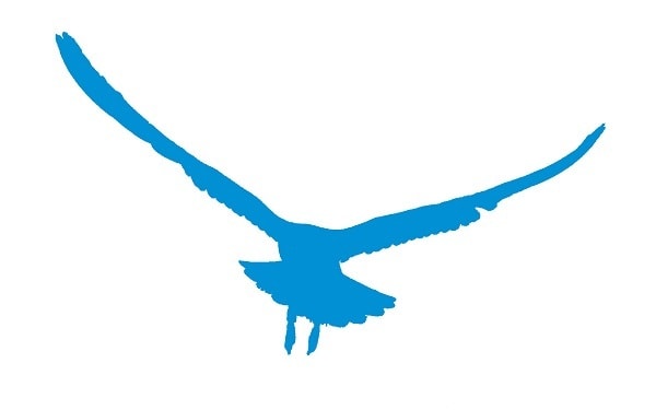 logo-blue.bird-scarer