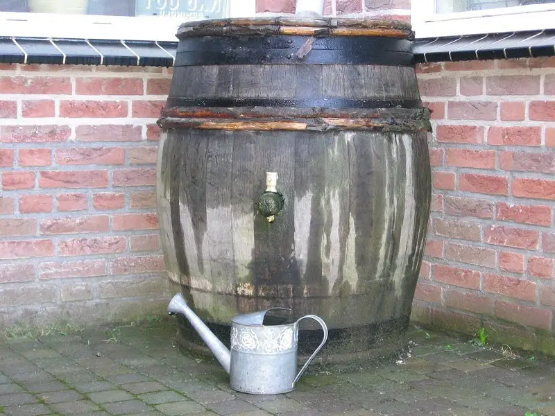 Garden-rain-barrel