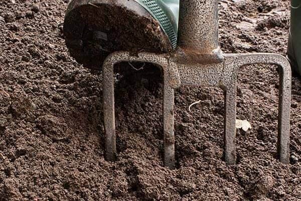 Gardener airing out soil for better planting using a fork