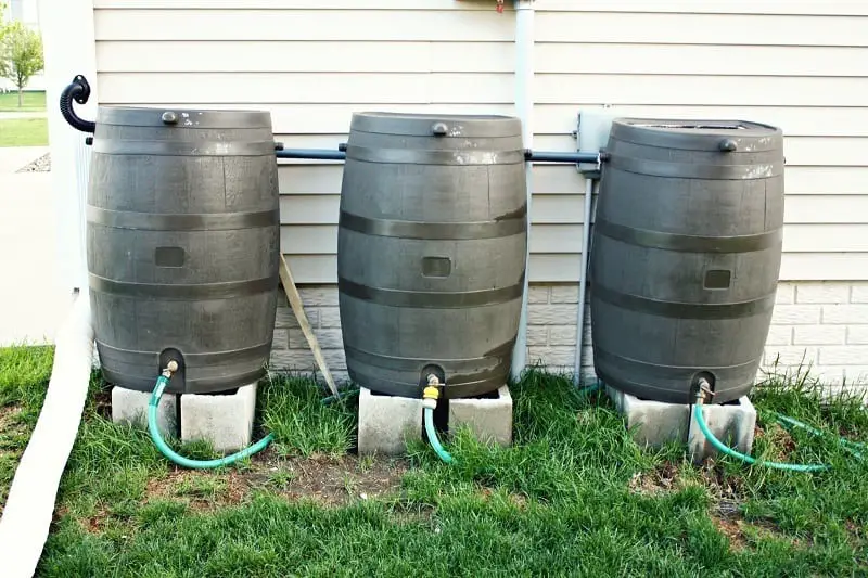 3 rain barrels